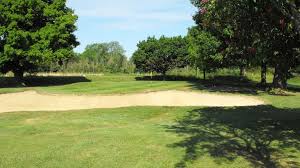 Image result for Maldon Canoe Club