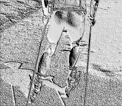 Image result for Manchester Cross Country Ski Club