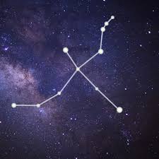 Attēlu rezultāti vaicājumam “Cygnus”