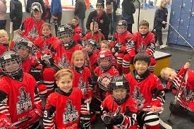 Image result for Telford Junior Ice Hockey Club