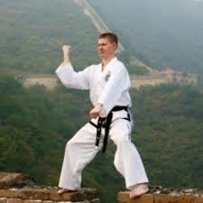 Image result for Bytomic Tae Kwon Do Beaconsfield