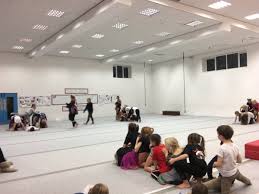 Image result for Harrogate School Of Gymnastics