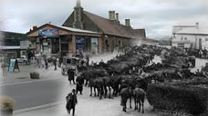 Image result for The Great War Experience, Essex