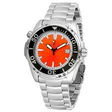 Image result for Seaquest Divers