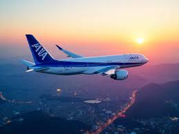 Image result for ana