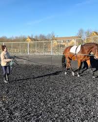 Image result for Reading University Riding Club