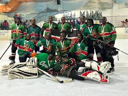Image result for Ice Hockey International