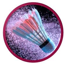 Image result for Kingswinford Ashton Jnr Badminton Club