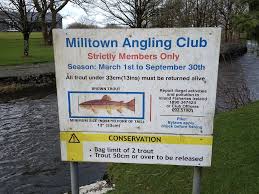 Image result for Byfleet Angling Club