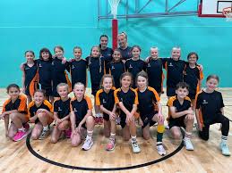 Image result for Hornets Netball Club
