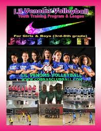 Image result for Chesterfield Cobras Volleyball Club