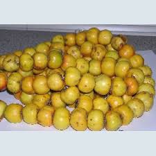 images?qtbnANd9GcQTL6LFajS4CHXvd7ebMOFS0u  SuQbOZvfaFecj3vJb0WrIA5A