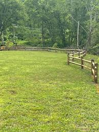 Image result for Braveheart Fencing