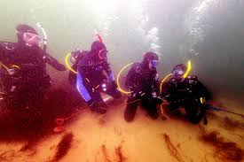 Image result for Breakwater Divers