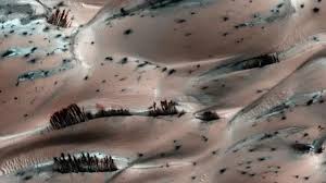 Image result for mars trees