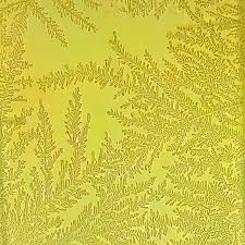 Attēlu rezultāti vaicājumam “Gulielmina vermicularis sessile”