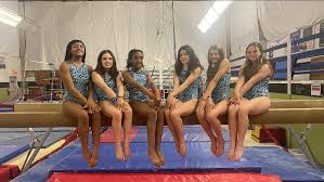 Image result for Blakey Gymnastics Club