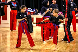 Image result for Taekwondo Witney