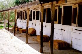 Image result for Carman Stables