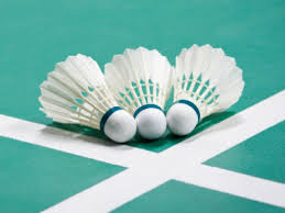 Image result for Appledore Badminton Club