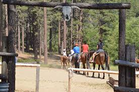 Image result for Cliff Hatch Stables