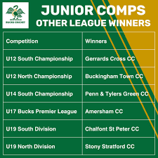 Image result for Stony Stratford Cc