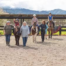 Image result for Riding For The Disabled Association