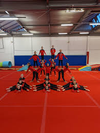 Image result for Flyin Scots Aerobic Gymnastics Club