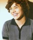 Harry Styles Photo (19707473) - Fanpop - Harryyyyyyy-harry-styles-19707473-422-514_large