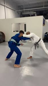 Image result for kyokujitsu Kai