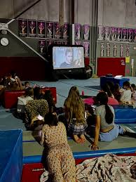 Image result for Hull High Flyers Gymnastics Club