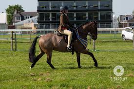 Image result for Ayr Riding Club