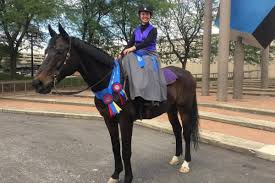 Image result for Shey Copse Riding Centre