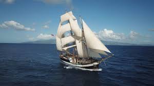 Image result for London Sailing Project