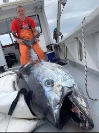 Image result for Seabrook Sea Anglers Association