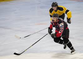 Image result for Wightlink Raiders