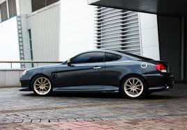 Image result for tuscani tibu...start=0