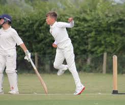 Image result for Halstead Colts Cricket Club