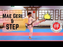 Image result for Zen Shin Seicho Do Adult Karate