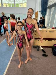 Image result for Harlequin Gymnastics Club
