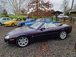 Image result for Amananth Purple 1998 Jaguar