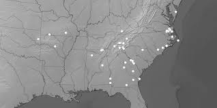 Attēlu rezultāti vaicājumam “Thelopsis rubella”
