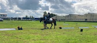 Image result for omagh harriers