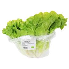 Image result for Endivie