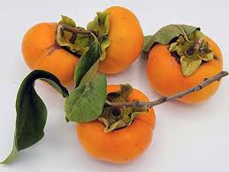 Image result for sharon fruit