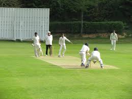 Image result for Henley Cricket Club