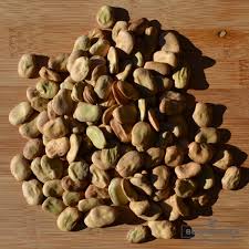 Image result for Dicke Bohnen