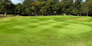 Image result for Stanedge Golf Club