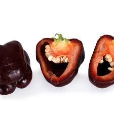 Afbeeldingsresultaat voor chocolate beauty sweet pepper