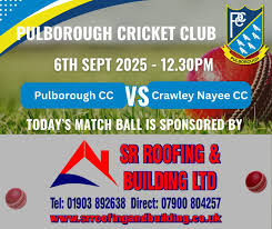 Image result for Pulborough Cricket Club
